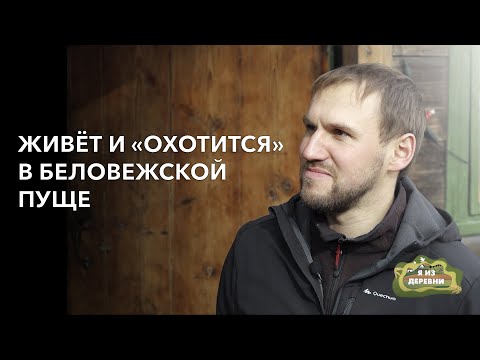 Живёт и «охотится» в Беловежской пуще «Я из деревни». Беловежская пуща