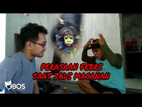 PERASAAN FEBRI SAAT JOKI MACANAN MUNCUL BUDOYO BERAN LOR - LAIN SAAT JADI KUCING / WAYANG