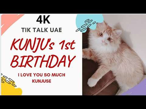 Kunju's 1st Birthday | I Love You Kunjuse | TIK TALK UAE | Vlog 0012