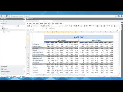 JEDOX 6 Excel a Web en 2 minutos