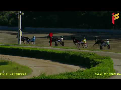 Prova di qualifica del 29 ottobre 2022 - 2 Anni - Metri 1600