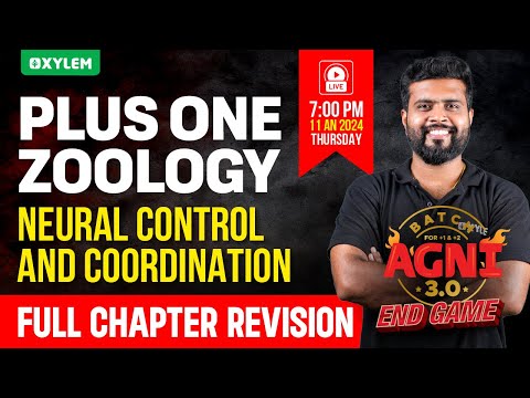 Plus One Zoology - Neural Control and Coordination | Xylem Plus One