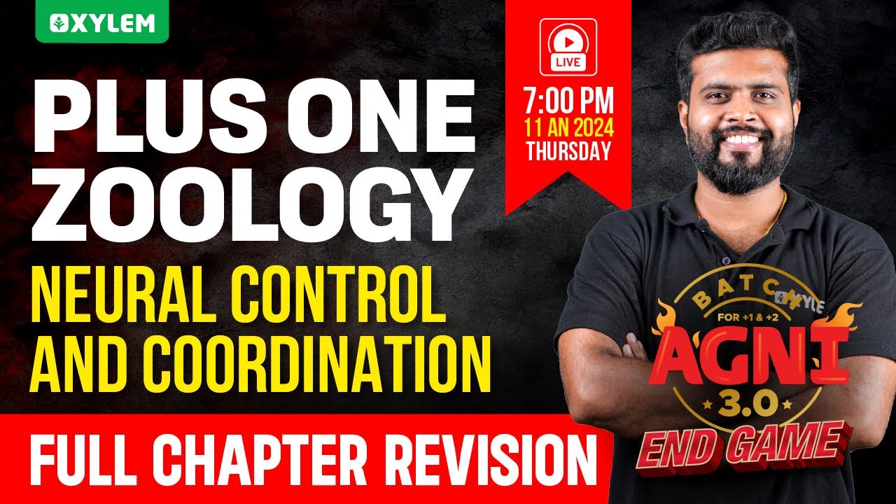 Plus One Zoology - Neural Control and Coordination | Xylem Plus One