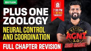 Plus One Zoology - Neural Control and Coordination | Xylem Plus One