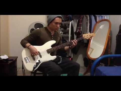 Red Hot Chili Peppers - Otherside [bass cover]