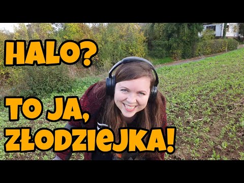 #91 HALO? TO JA ZŁODZIEJKA! #equinox800 #minelab #wykopki