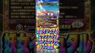 【あなたじゃないのよ】妖女イシュタル・タイタニスピックアップSPスカウト#ドラクエタクト#ガチャ#ドラクエ