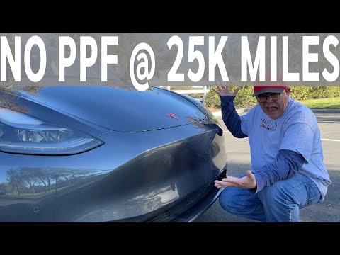 How is my Tesla Model Y doing with NO PPF at 25,000 Miles? Any Rock Chips?