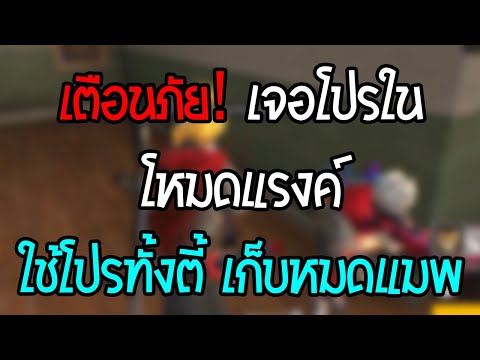 โปร ฟีฟาย