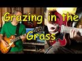 Grazing in the Grass - Cover - raybbj