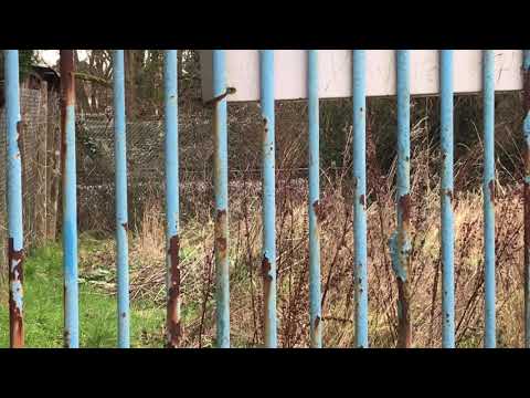 Freight Train on the Fawley Branch Line