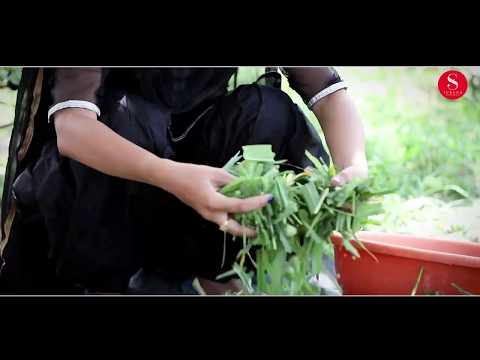 Papiyo ri Papi | Pankaj  Sharma | new  Filmi Papiyo Comedy - पपिये री पप्पी धमाकेदार मारवाड़ी कॉमेडी