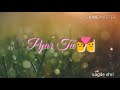 Pyar Tu Dil Tu What S App Status