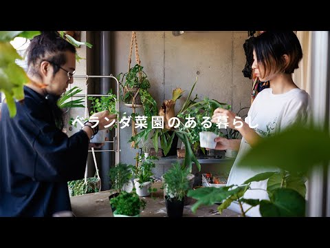 plantes aromatiques fleurs petit-balcon-tapissé-gazon-artificiel