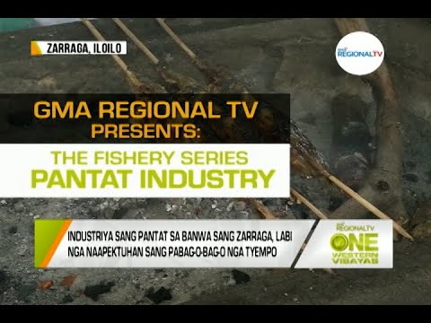 One Western Visayas: RTV Presents: The Fisheries Series, Pantat Industry