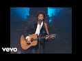 Laurent Voulzy - Idéal simplifié (Voulzy Tour au Zénith de Paris 1993)