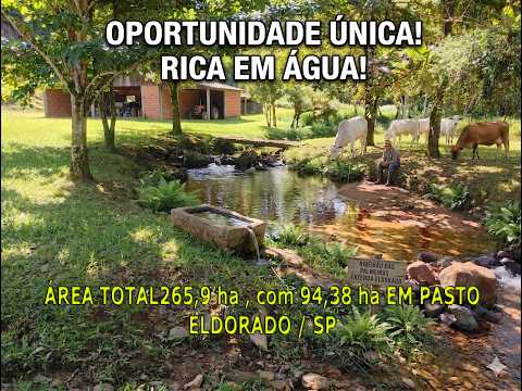 FAZENDA À VENDA EM ELDORADO SP | 265 Hectares, Rica em Água e Estrutura Completa!