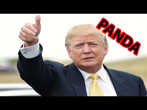 Desiigner - Panda ft. Donald Trump - China