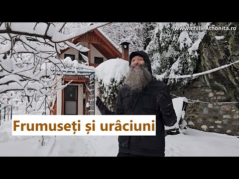 Sfaturi duhovniceşti din mijlocul zăpezii: pace, spovedanie și smerenie - p. Pimen Vlad