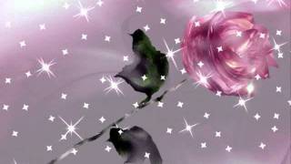 George Hamilton  IV        IVY ROSE