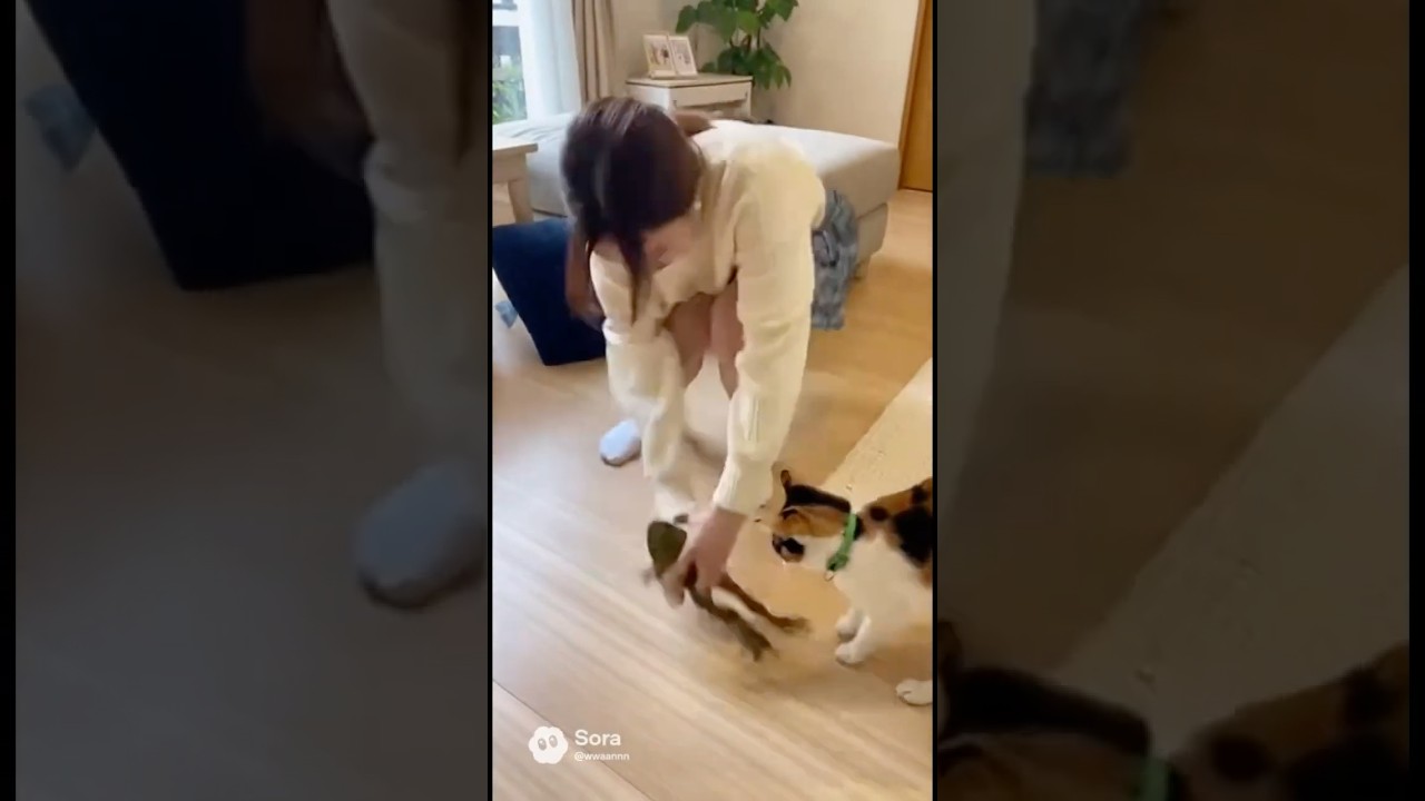 お姉ちゃんが強すぎる  #funny