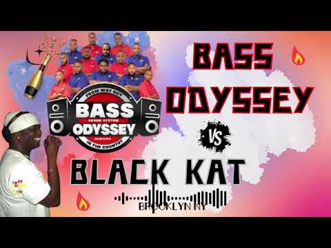 BASS ODYSSEY vs BLACK KAT 🔊🎼🎶🎤🔊 Exclusive Sound Clash! Brooklyn NY 06/01 #dubplate #reggae
