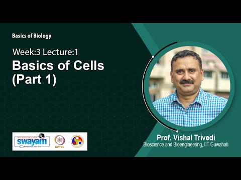 Basics of Biology Intro Video