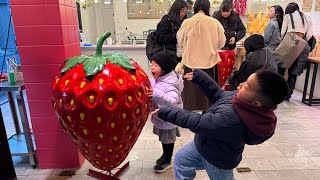 Japan Spring Time 2025 Part 1 / trải nghiệm 14 ngày ở Japan