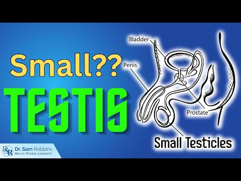 SMALL Testicles??? Here's HOW They Impact Your Life