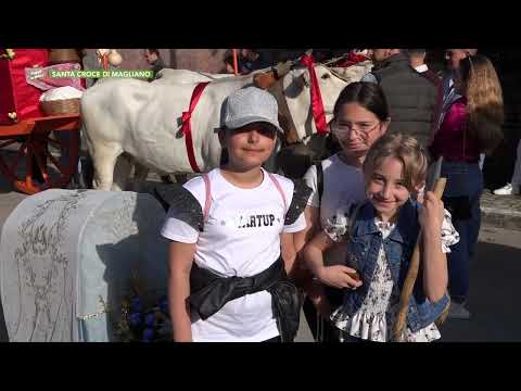 S. Croce di Magliano - S. Antonio di Padova, benedizione dei carri - clip 1- Viaggio in Molise