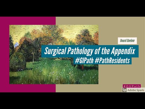 Surgical pathology of the Appendix