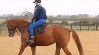 Love You Till The Day I Die | Frankie recently