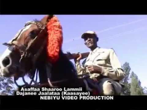 Dejene Jalata - Assaffaa Shaaroo lammii (Oromo Music)