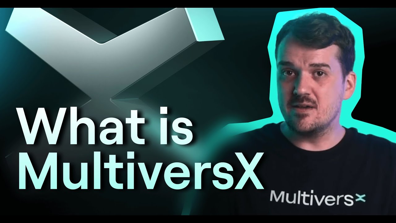 What is MultiversX? Blockchain Introduction