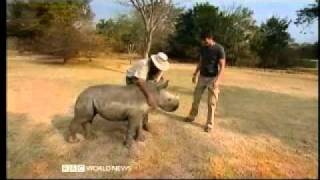 preview picture of video 'The Tropic of Capricorn 6 of 20  - South Africa - BBC Travel Documentary'