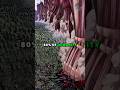 How Fast Was The Rumbling In Attack On Titan