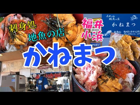 [Fukui Obama] ¡Fui al restaurante local de pescado y al restaurante de sashimi “Kanematsu”!