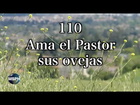 HA62 | Himno 110 | Ama el Pastor sus ovejas