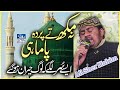 Na Mukh Ty Parda Pa Mahi II Ali Sher Hakim Best 2020 II Uploaded By II Sohail Sound Official II