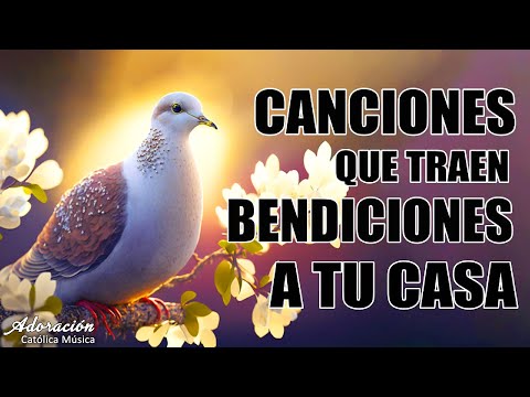 Musica Catolica De Alabanza Y Adoracion 2025 | Canciones Catolicas de Alabanzas Y Adoracion