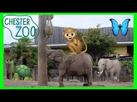 CHESTER ZOO & GIFT SHOP