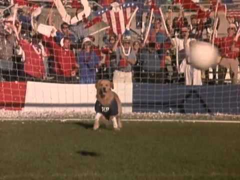 air bud 3 world pup trailer