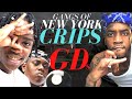 New York S Deadly Gang War Crips V GDs
