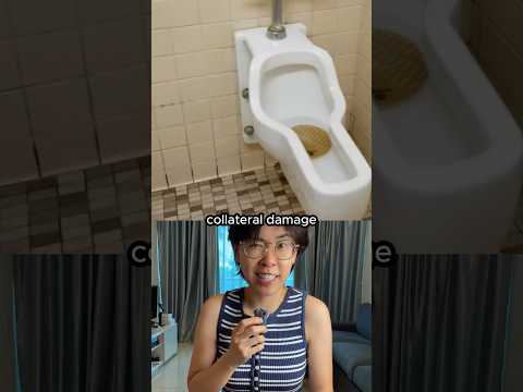 What Dogs Teach Us About Urinal Design