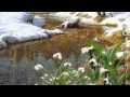 Прощенное воскресенье...(исп.: Группа "А") 