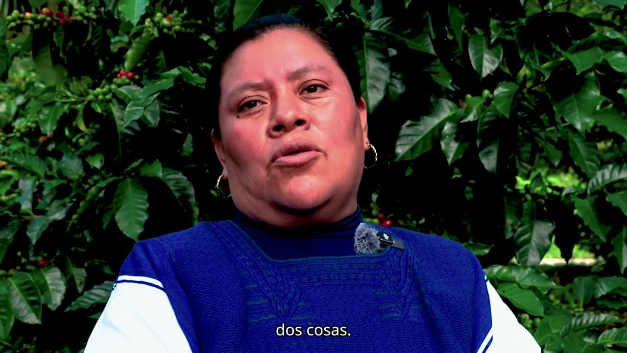 Los programas llegan directos y sin intermediarios
