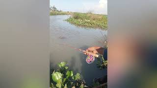 Spot mancing termantap‼️