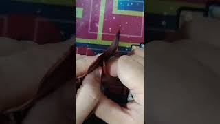 Download lagu Day 37 of 1 day 2 packs until MRC Alter release #gatcg #grandarchive #grandarchivetcg mp3 Download lagu Day 37 of 1 day 2 packs until MRC Alter release #gatcg #grandarchive #grandarchivetcg mp3