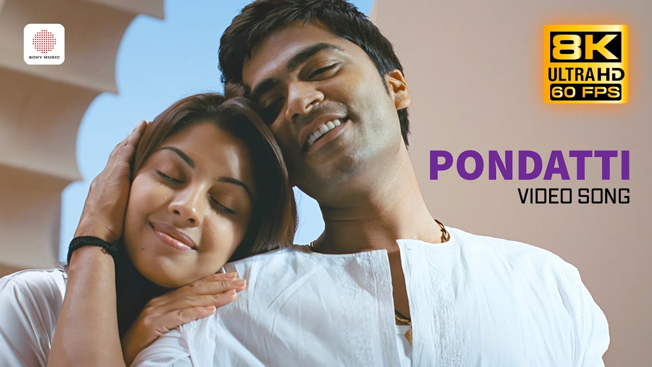 Osthe - Pondatti 8K/4K Video Song | STR | Thaman S | Richa Gangopadhyay | Dharani | Osthe Songs