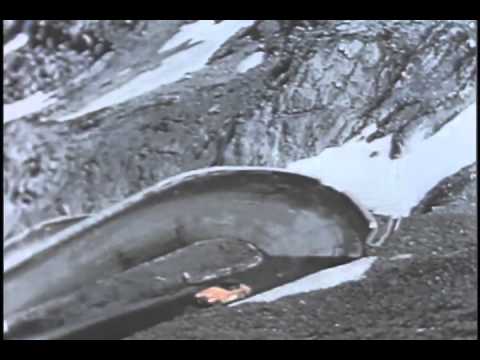 Alpine Rally — Coupe des Alpes, 1958